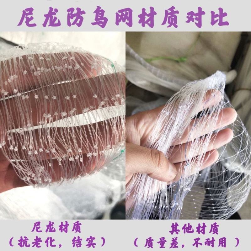 果园防鸟网果树樱桃葡萄防鸟用的网鱼塘天网大棚防护尼龙网