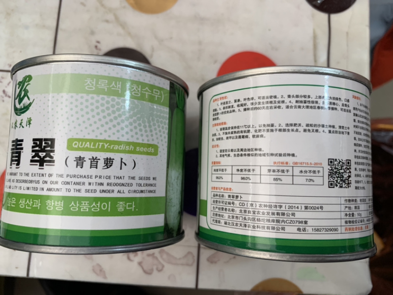 青翠青头水果型萝卜萝卜种植子/可零售批发