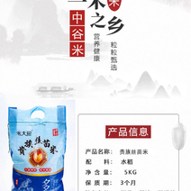 广东汕尾中谷米业贵族丝苗5公斤南方新米