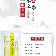 广东汕尾中谷米业龙津香米5公斤南方新米