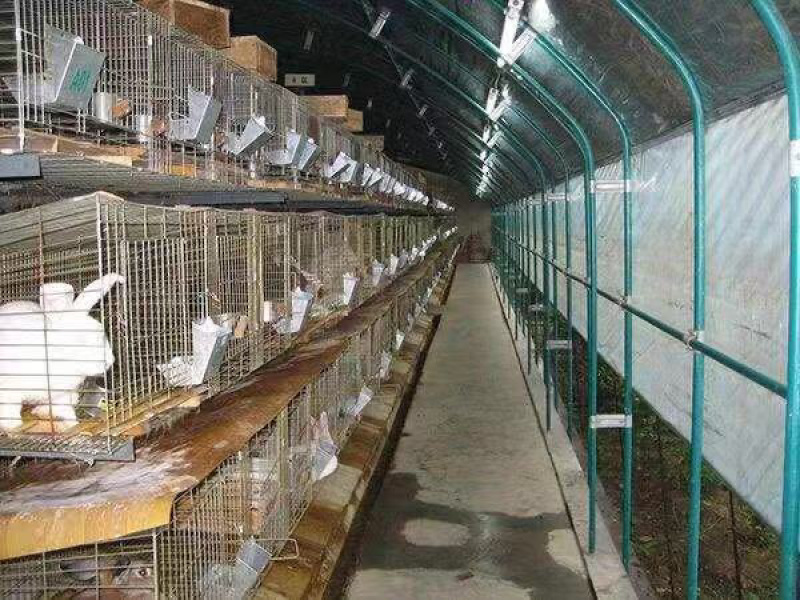 功能性兔饲料厂家货源服务为主大量供应