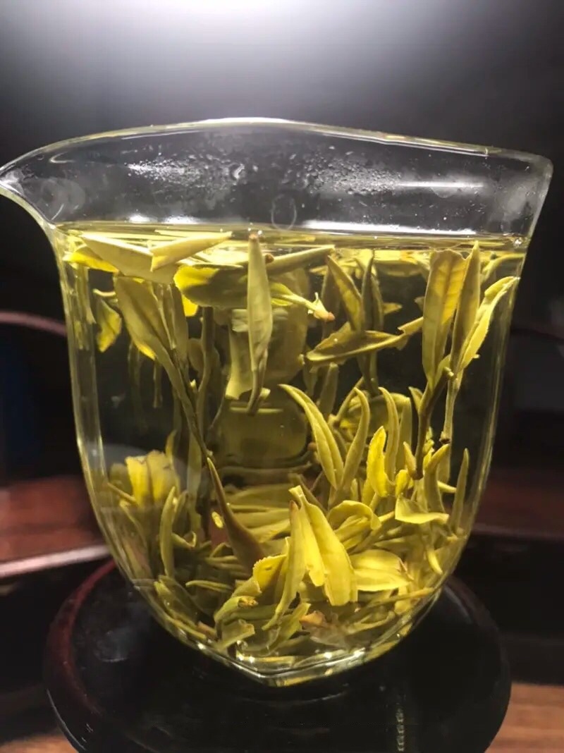 出口品质陈茶黄芽100一斤包邮