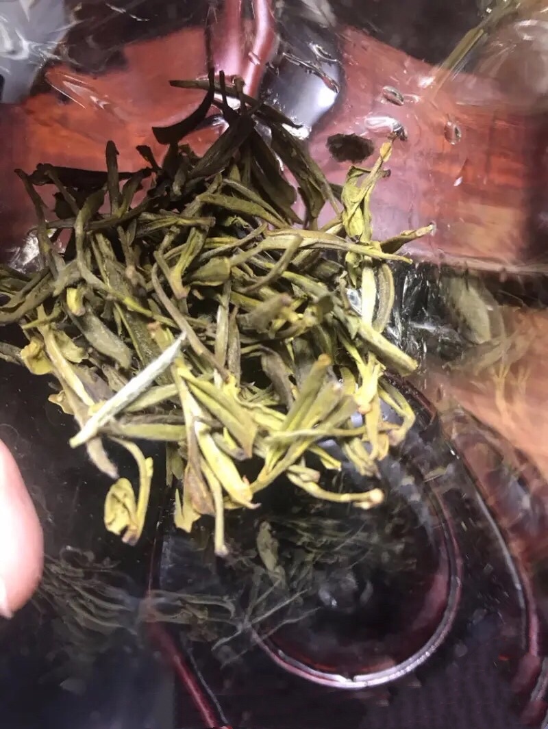 出口品质陈茶黄芽100一斤包邮