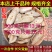 郁金中药材包邮店铺中草药玉金可磨郁金粉温郁金非温郁金