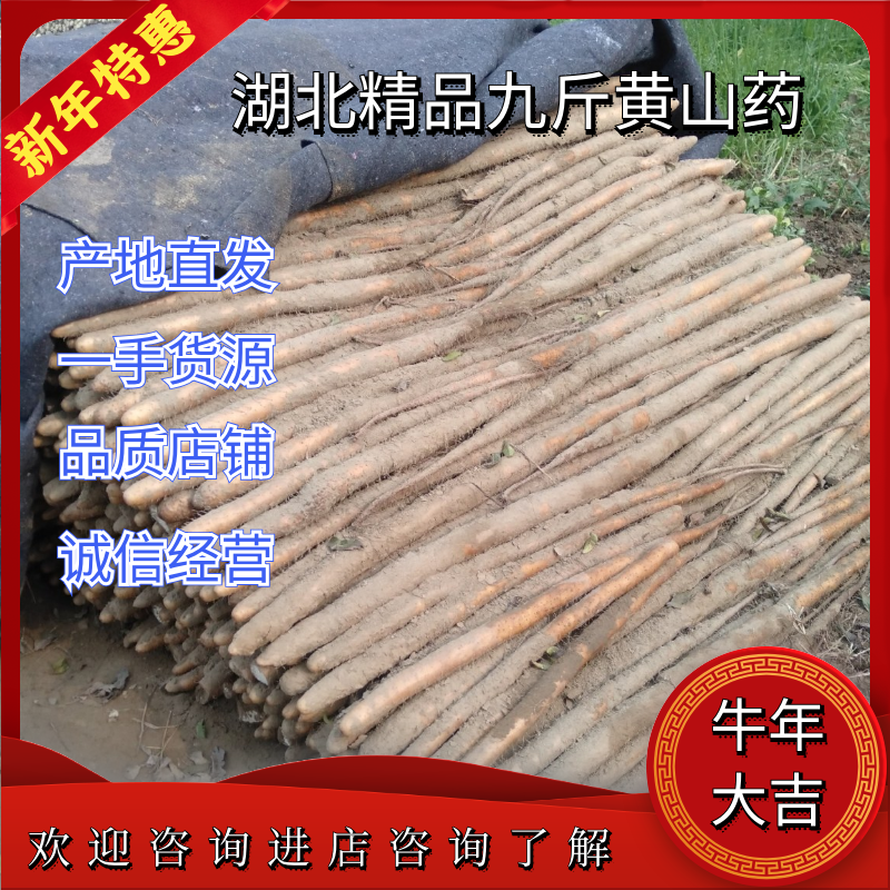 【新货上市】山药湖北山药九斤黄山药可视频看货欢迎咨询