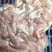 猪小肠粉肠新鲜货货源充足