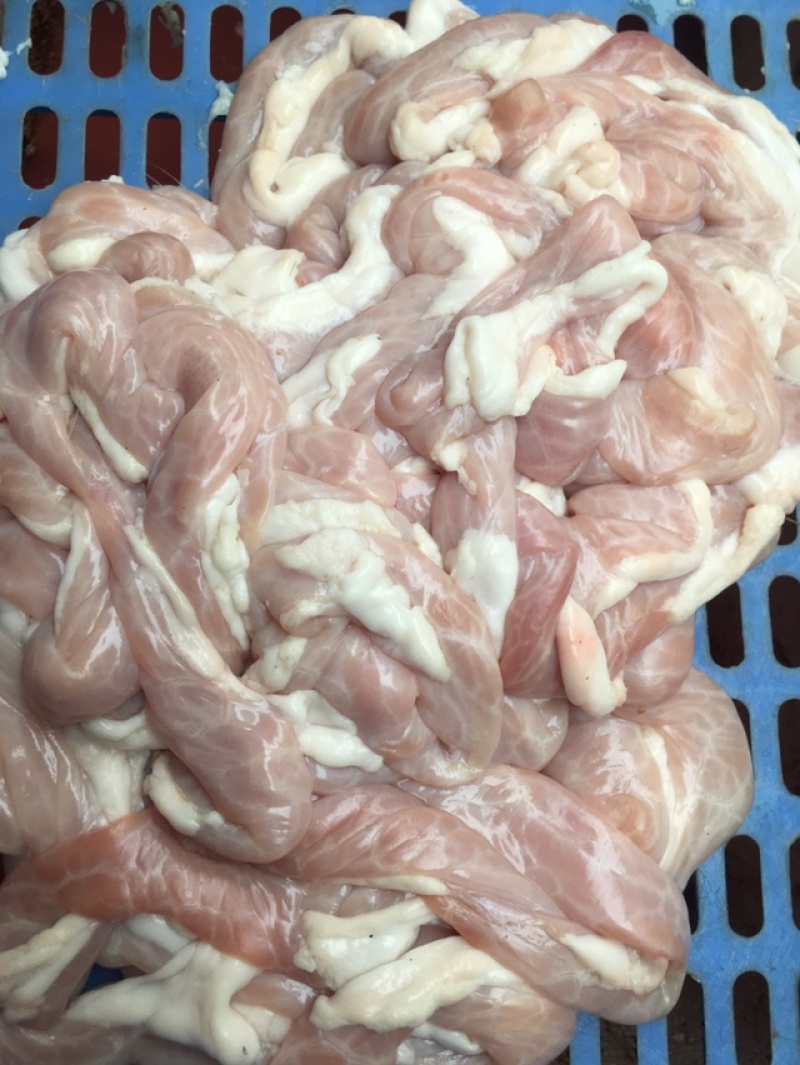 猪小肠粉肠新鲜货货源充足