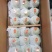 香酥梨礼盒装！海量现货供应！5公斤，7公斤！