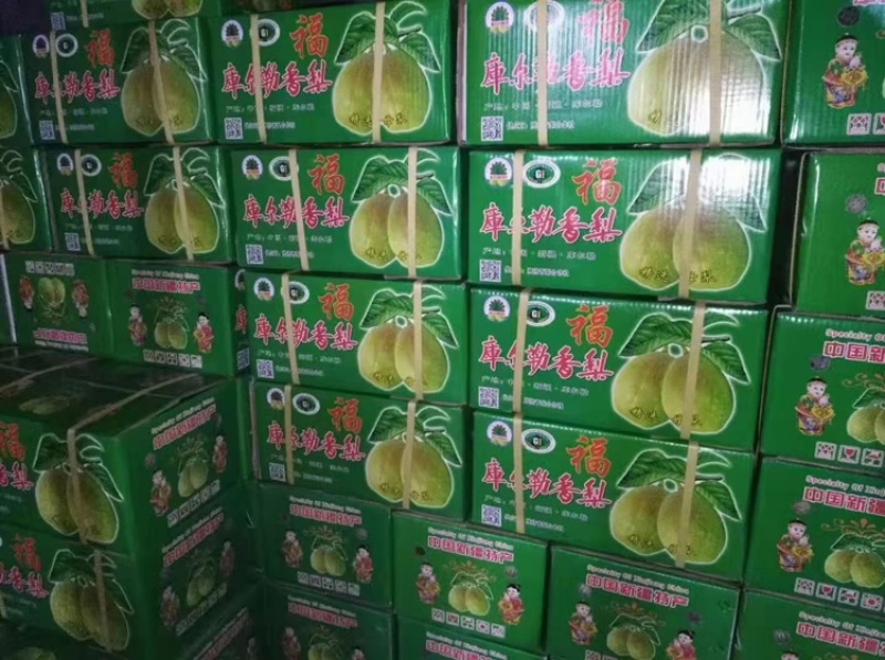香酥梨礼盒装！海量现货供应！5公斤，7公斤！