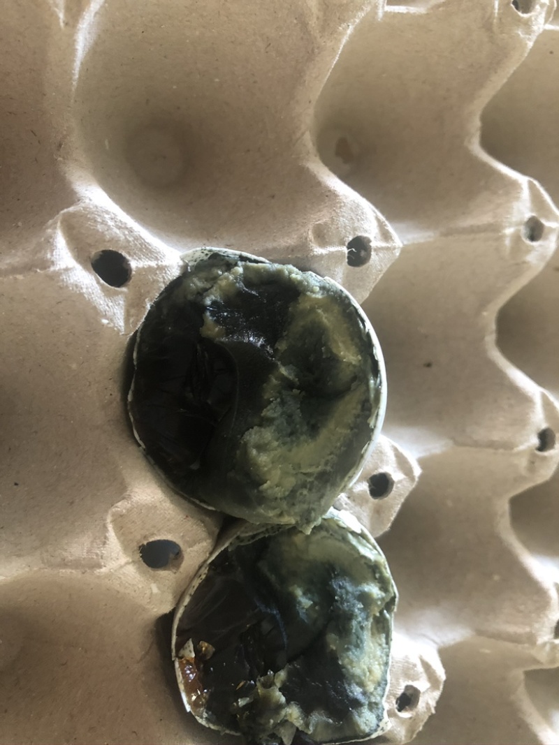 河北松花蛋，白洋淀特产皮蛋，精品松花蛋