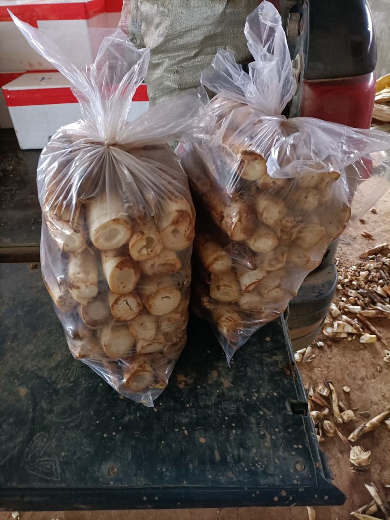 产地直销精品江西黄泥地雷竹笋刀口嫩颜色好看电商合作