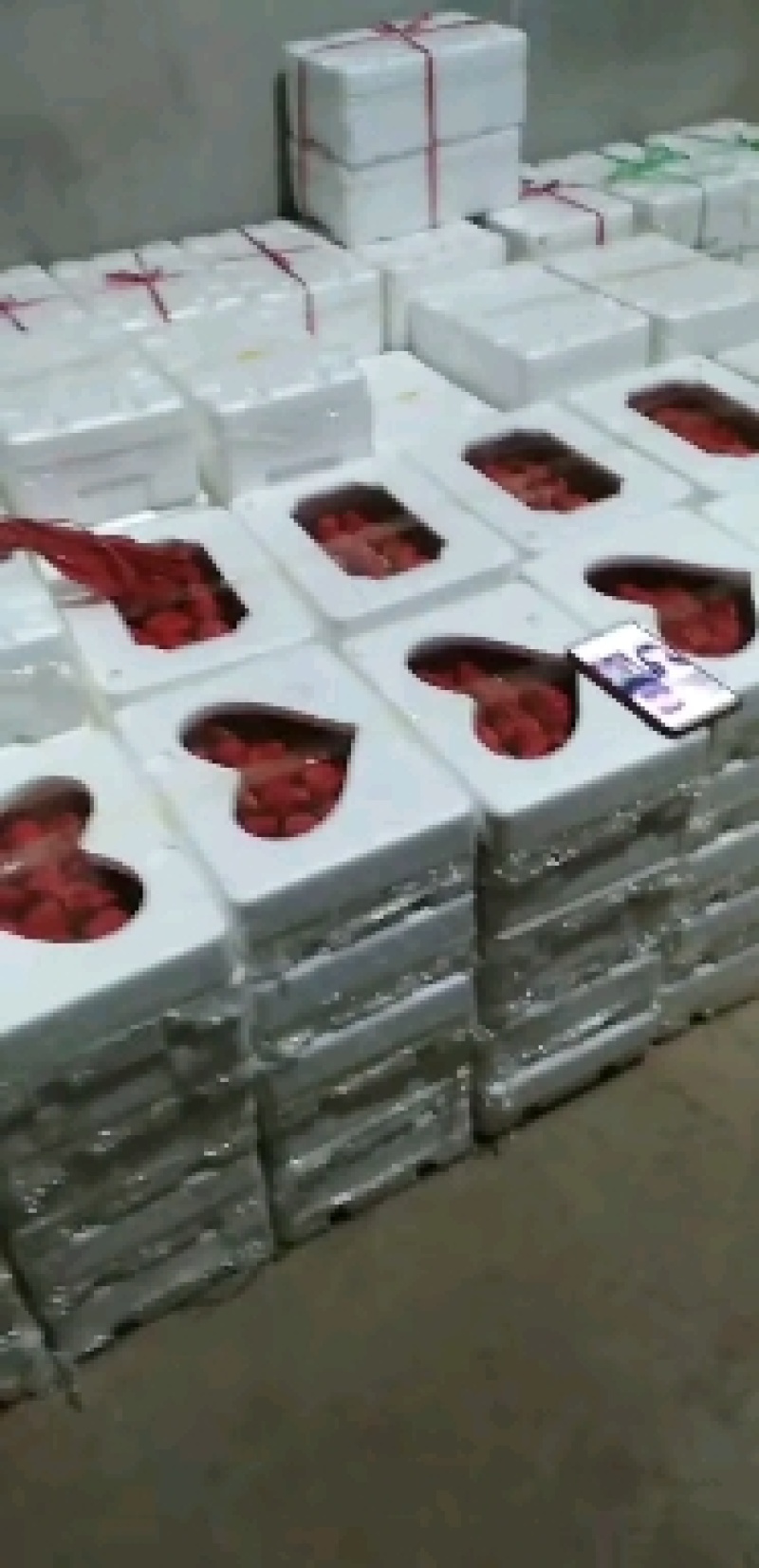 草莓，九九草莓，自家种植九个温棚，量大！保证质量