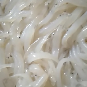 银鱼红河州边50公斤送货，鲜货
