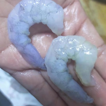 单冻开背虾仁2630规格4斤/袋
