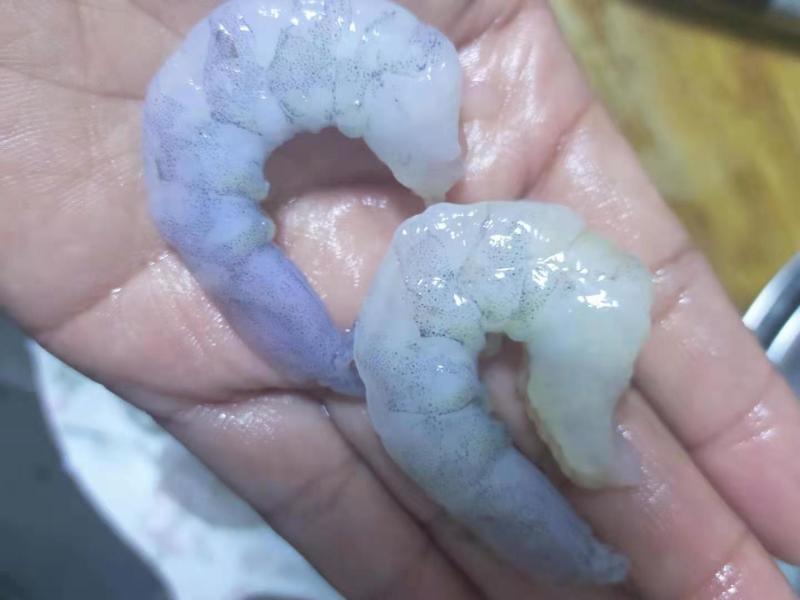 单冻开背虾仁2630规格4斤/袋