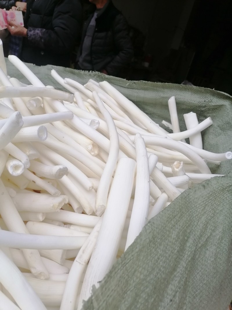 大通草批发需要的联系我
