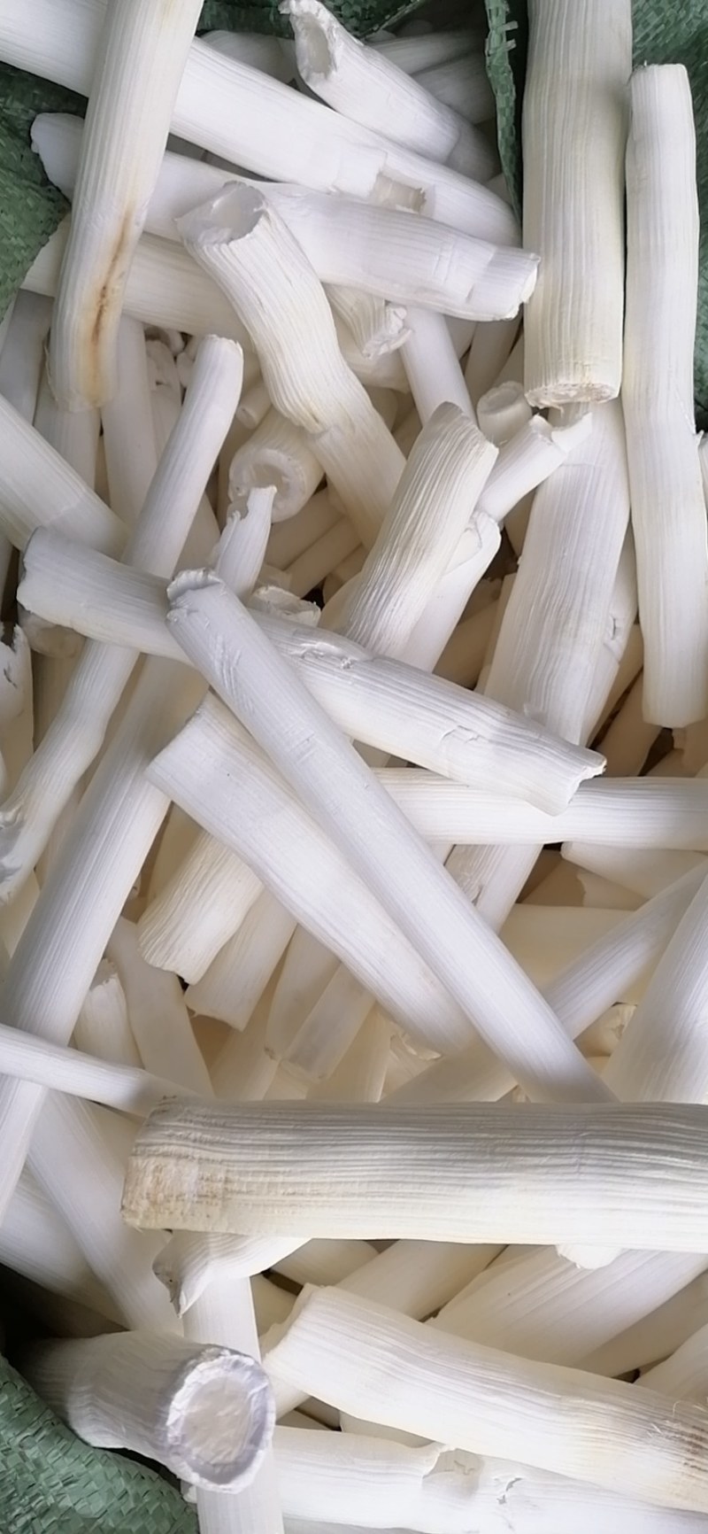 大通草批发需要的联系我