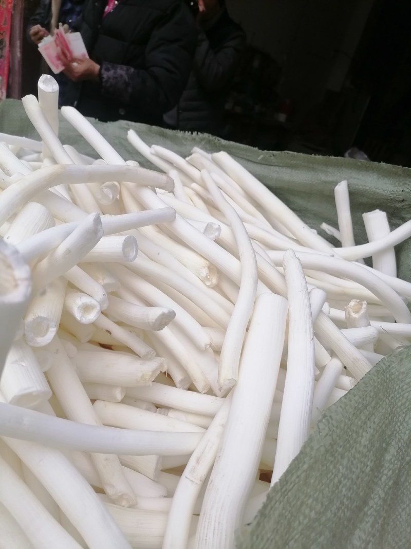 大通草批发需要的联系我