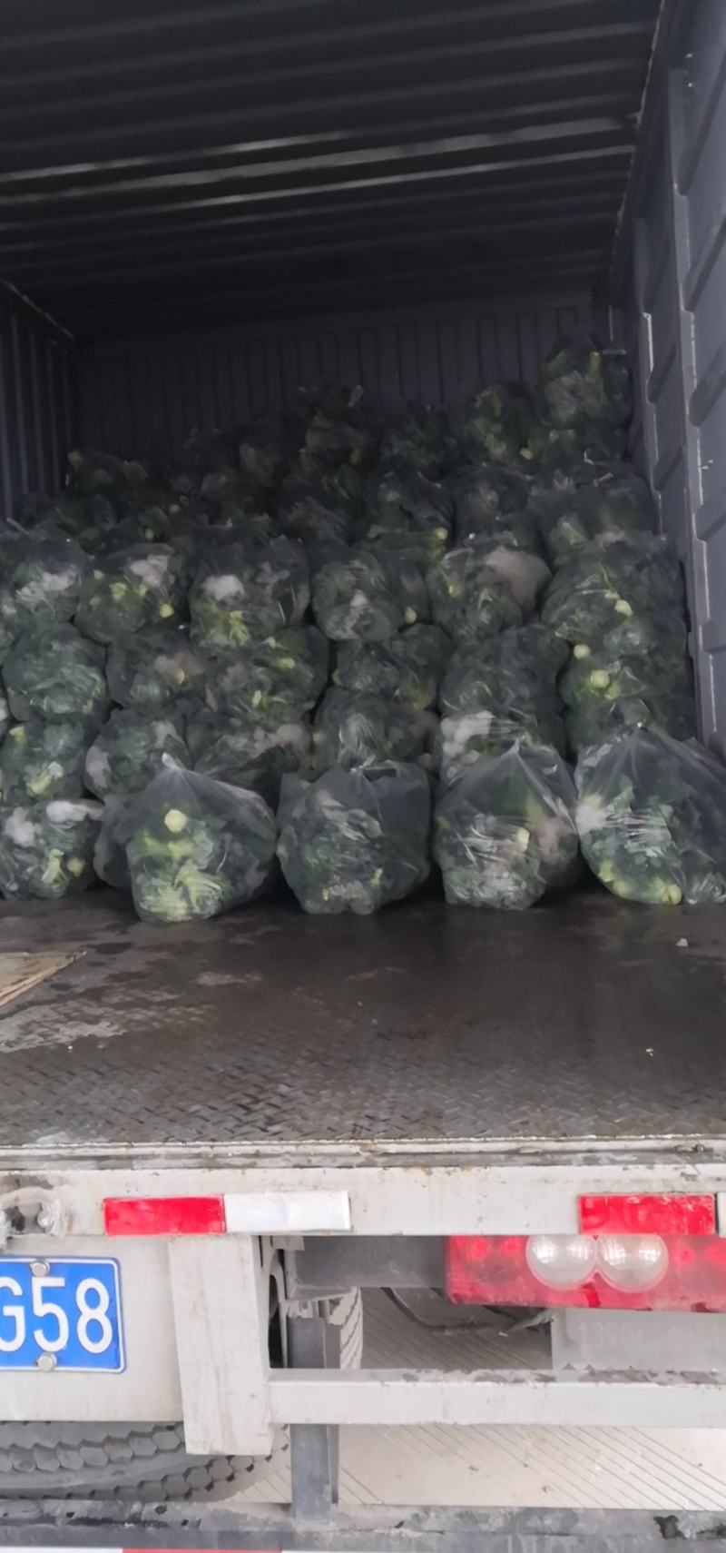 精品西兰花，美青，结青80，，台绿，国王，货源充足，，