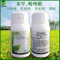 盈辉青翠苯甲·吡唑酯白粉病炭疽病叶斑病农药批发草莓蔬菜