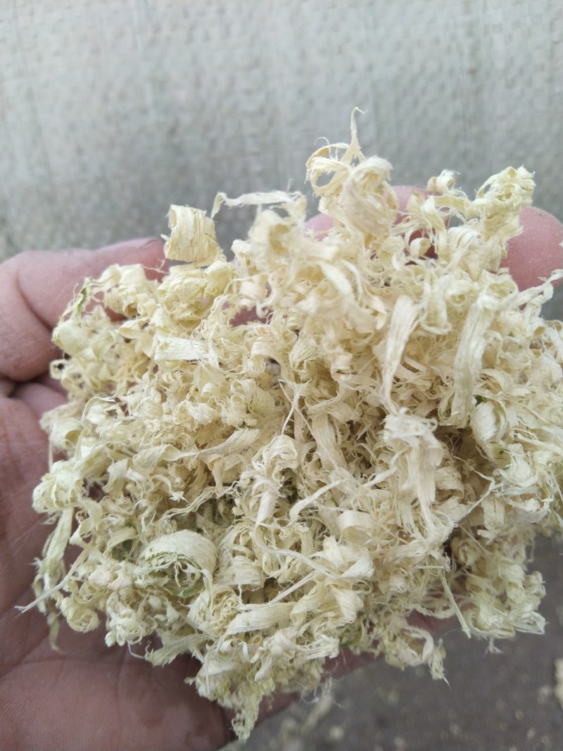 竹茹产地直供支持线上交易可搭配多品种采购大货联系客服