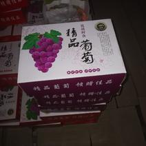 河北省石家庄市晋州市万亩果品水果基地库存巨峰葡萄大量有货