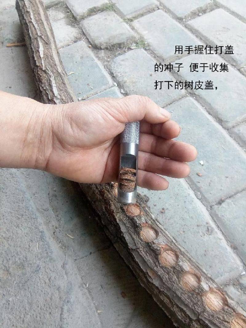 14毫米打皮冲盖香菇木耳打盖子14冲皮点钟工具木盖子冲子