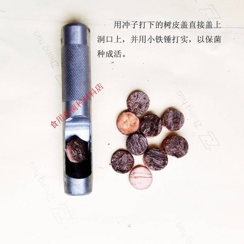14毫米打皮冲盖香菇木耳打盖子14冲皮点钟工具木盖子冲子