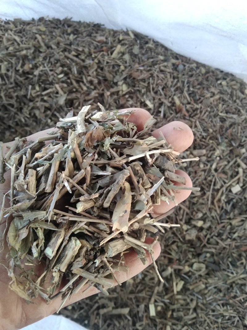六月雪产地直供支持线上交易可搭配多品种采购大货联系