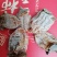 正宗富平柿饼欢迎客商