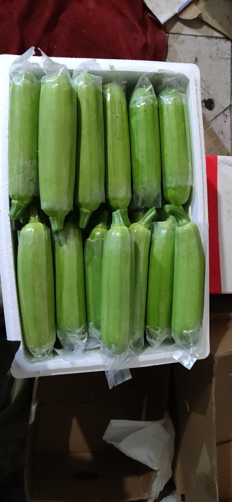 西葫芦重小在穿衣服长大的西葫芦