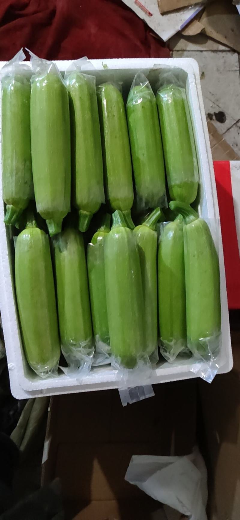 西葫芦重小在穿衣服长大的西葫芦