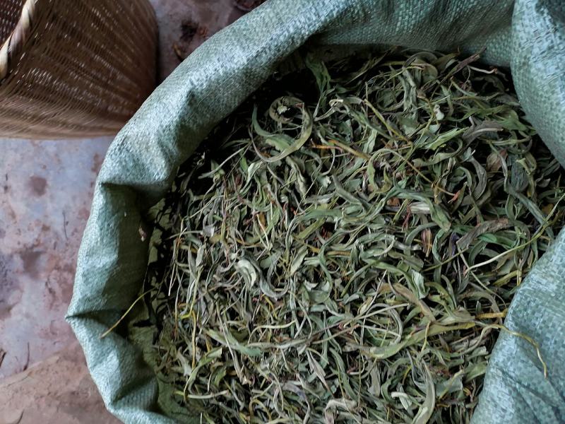 【精品】云南中药化石草，猫须草，肾精茶，自然风干