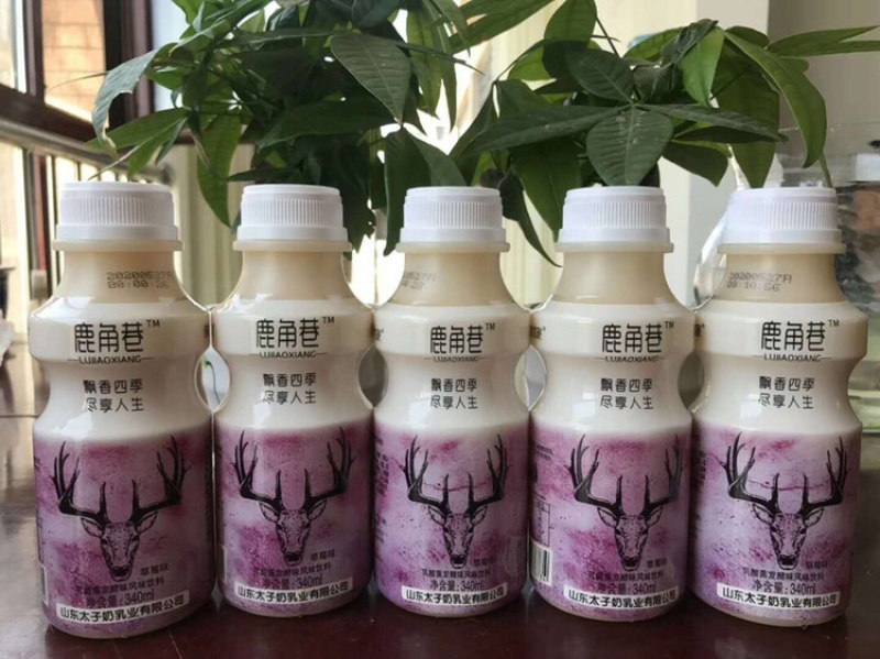 网红鹿角巷奶茶一箱340ml*12瓶货源充足量大优惠