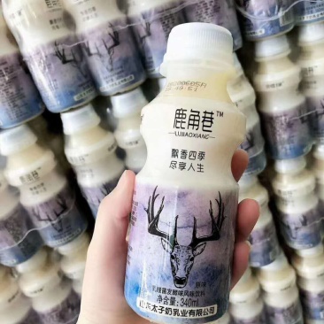 网红鹿角巷奶茶一箱340ml*12瓶货源充足量大优惠