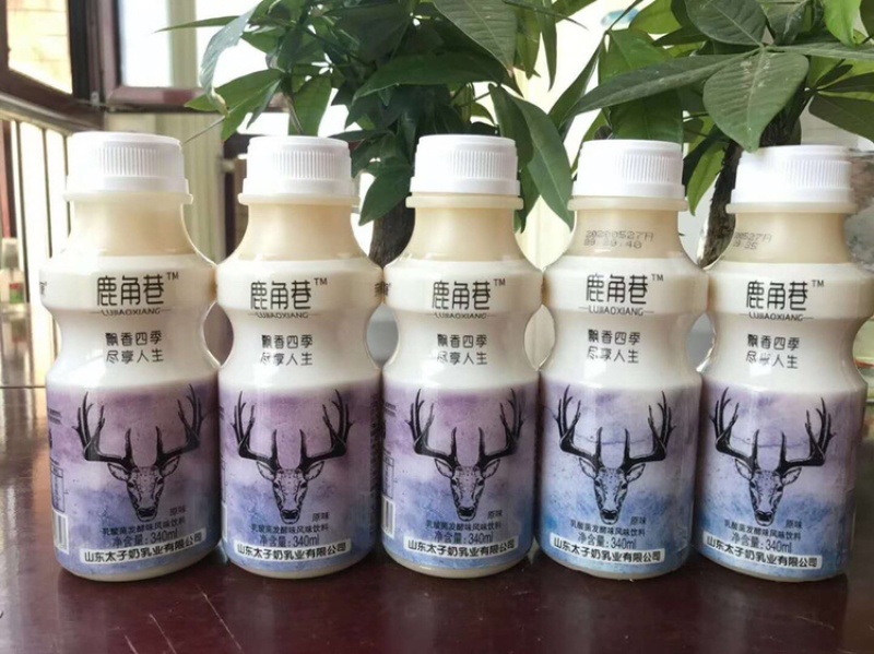 网红鹿角巷奶茶一箱340ml*12瓶货源充足量大优惠