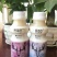网红鹿角巷奶茶一箱340ml*12瓶货源充足量大优惠