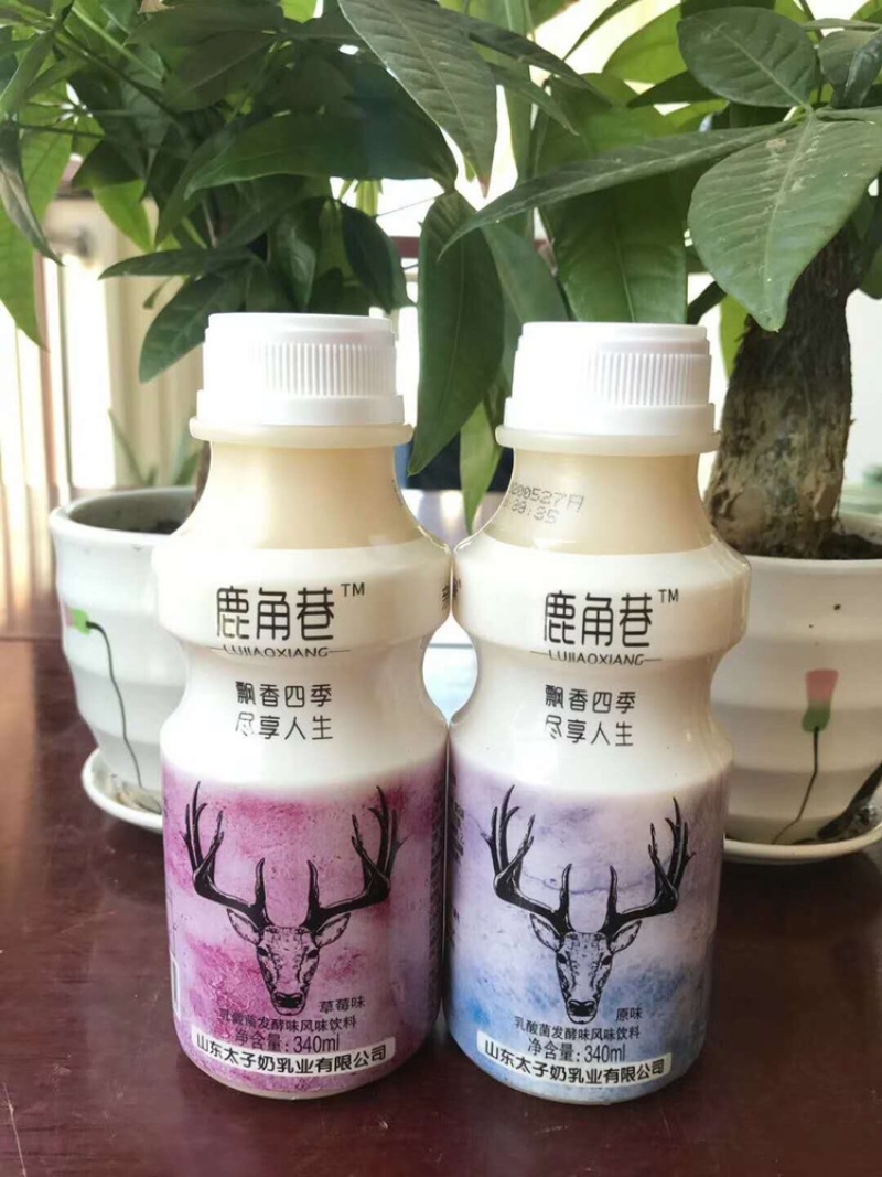 网红鹿角巷奶茶一箱340ml*12瓶货源充足量大优惠