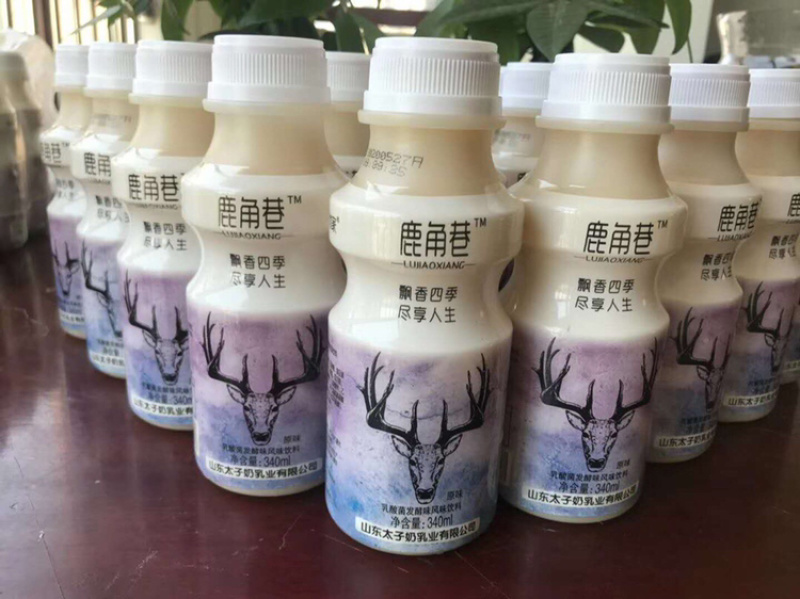 网红鹿角巷奶茶一箱340ml*12瓶货源充足量大优惠
