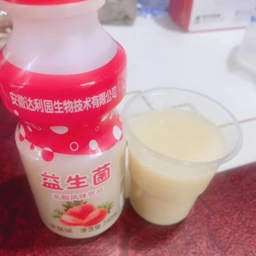 达利园乳酸菌9瓶装价格低超级性价比量大优惠