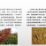 杜酱酱酒53度酱香型白酒茅台镇纯粮酿造坤沙老酒