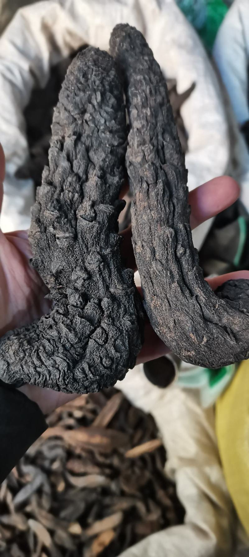 【牛商推荐】肉苁蓉肉苁蓉片大云沙漠人参