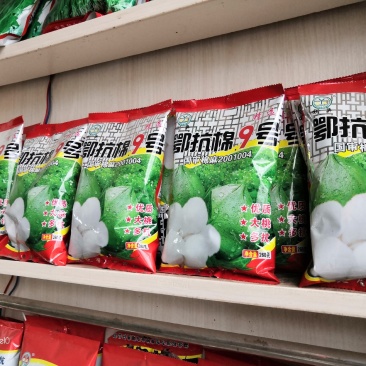 [厂家直销]营鄂抗棉9号优质大桃，260克10元