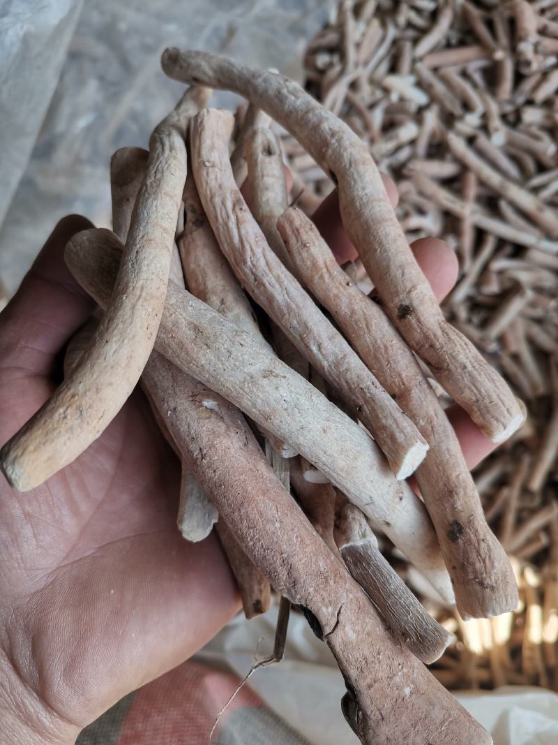 今年新货开始大量上市自产自销黑根白芍大货