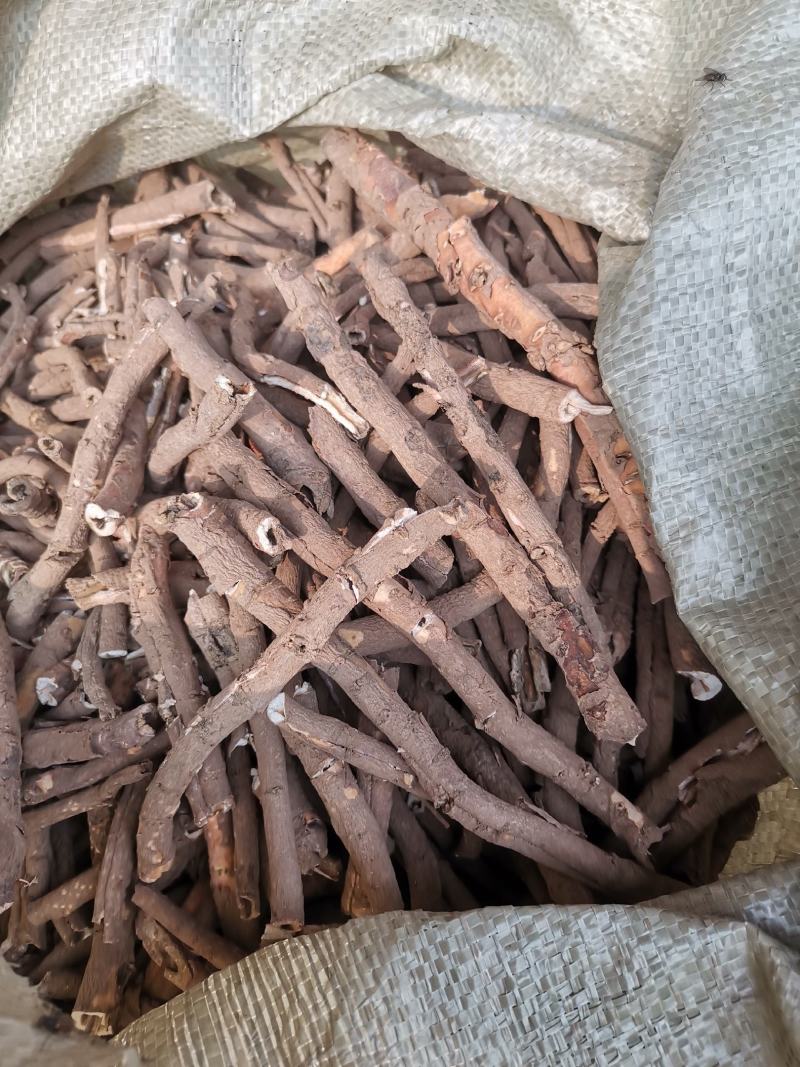 牡丹产地亳州市卫岗镇地产中药材自产自销的黑牡丹