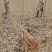速生无絮杨树苗规格齐全价格优惠白杨树苗培育种植基地