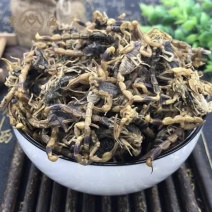 中药材蝎子清水蝎子干8到9成干钳蝎500g