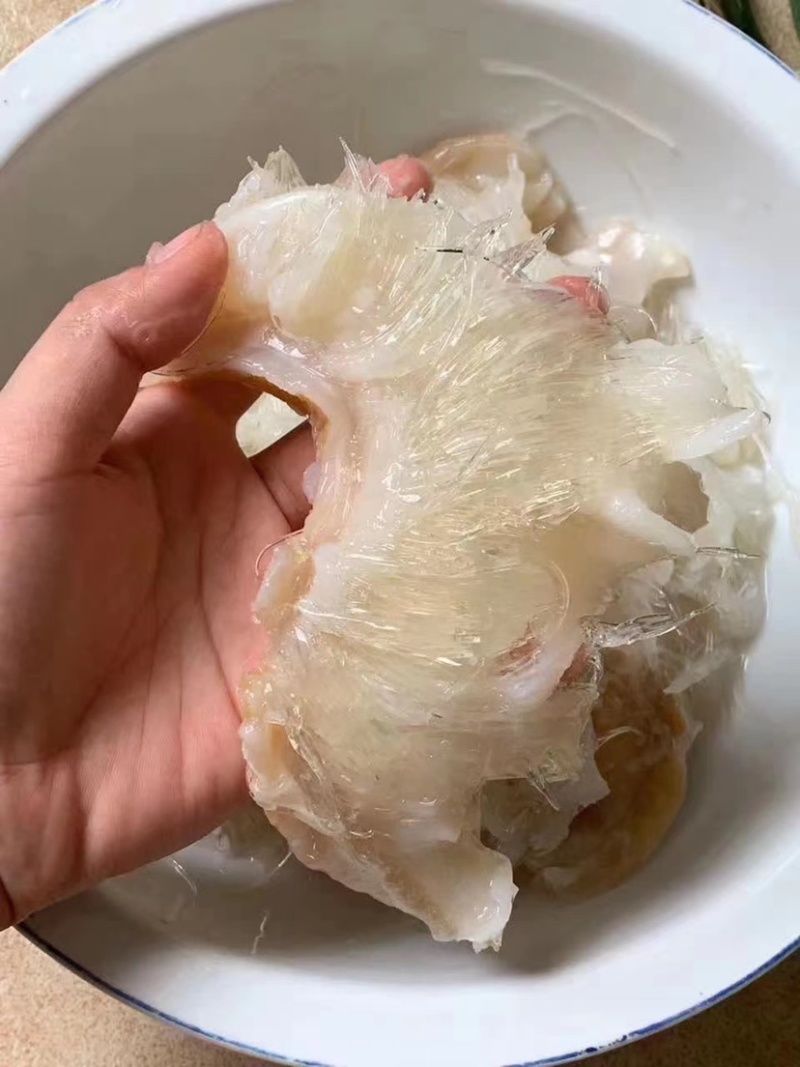 金勾翅鱼翅牙拣翅金鲍翅送礼佳品酒店食材滋补养生