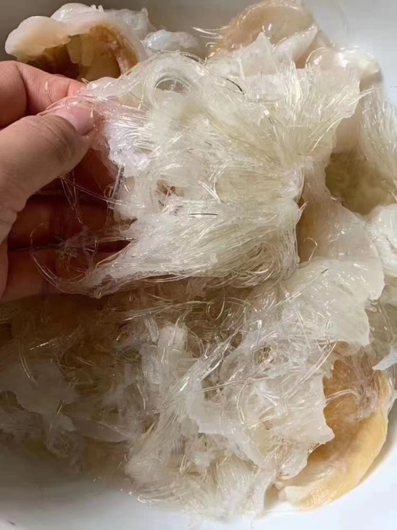 金勾翅鱼翅牙拣翅金鲍翅送礼佳品酒店食材滋补养生