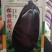 茄子种子长势旺不早衰亩产高达一万公斤